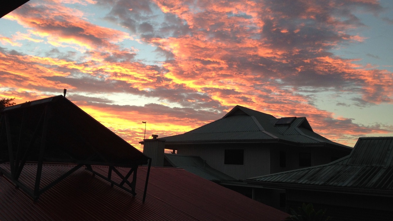 Photo of Others in Hilo