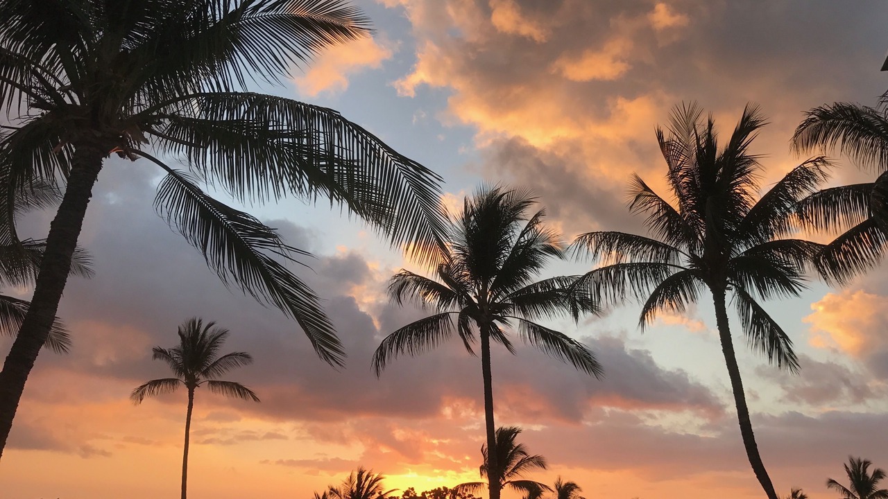 Photo of Others in Waikoloa