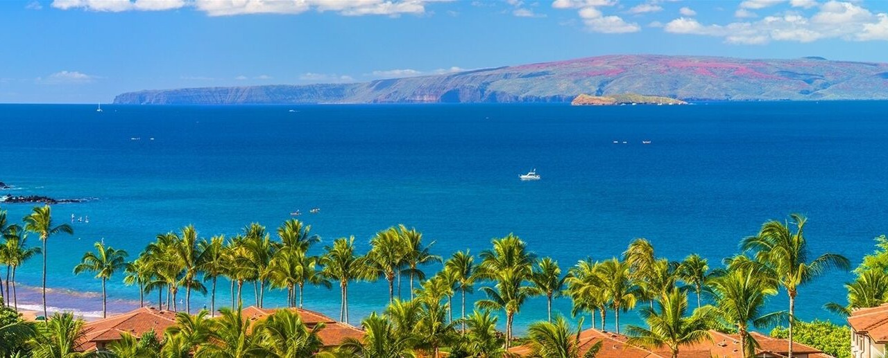 Photo of Others in Wailea