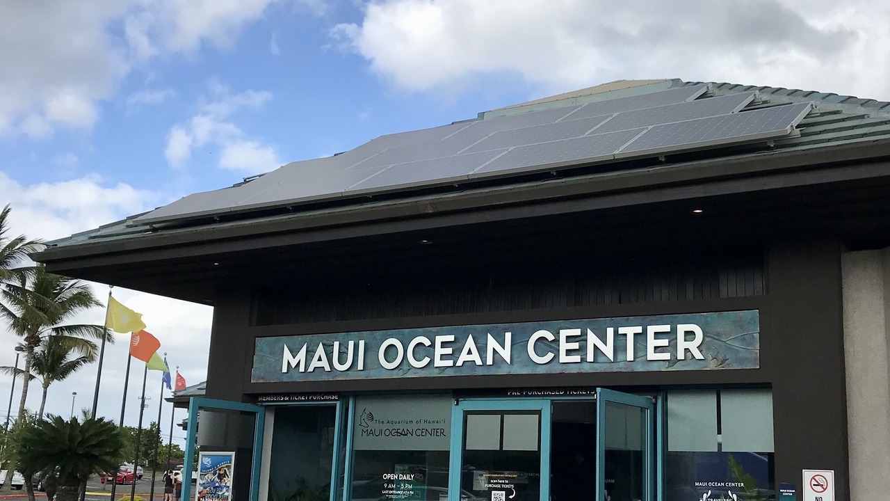 Photo of Others in Maalaea