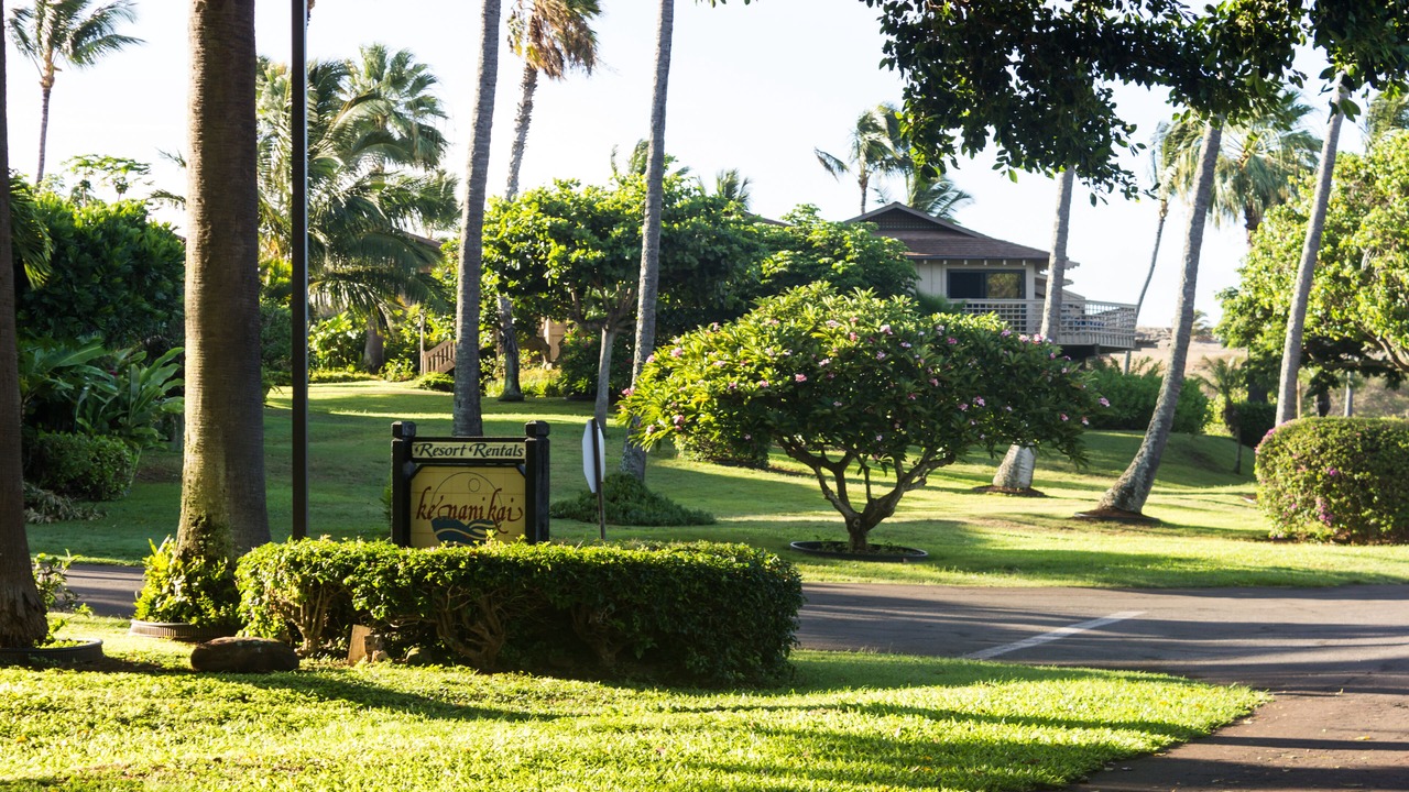 Photo of Others in Maunaloa