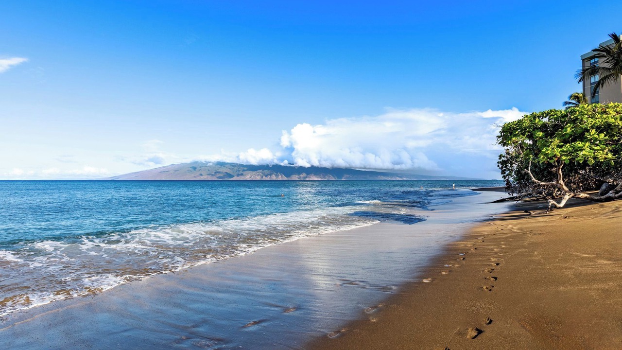 Photo of Others in Kahana