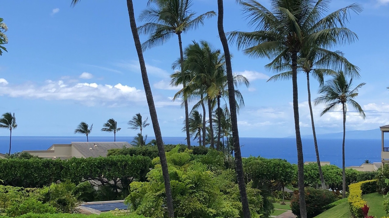 Photo of Others in Wailea