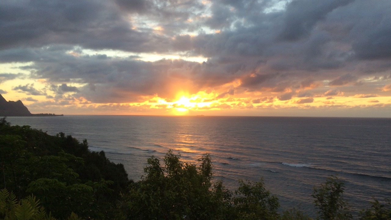 Photo of Others in Princeville