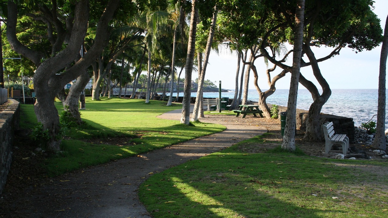 Photo of Others in Kahaluu Bay