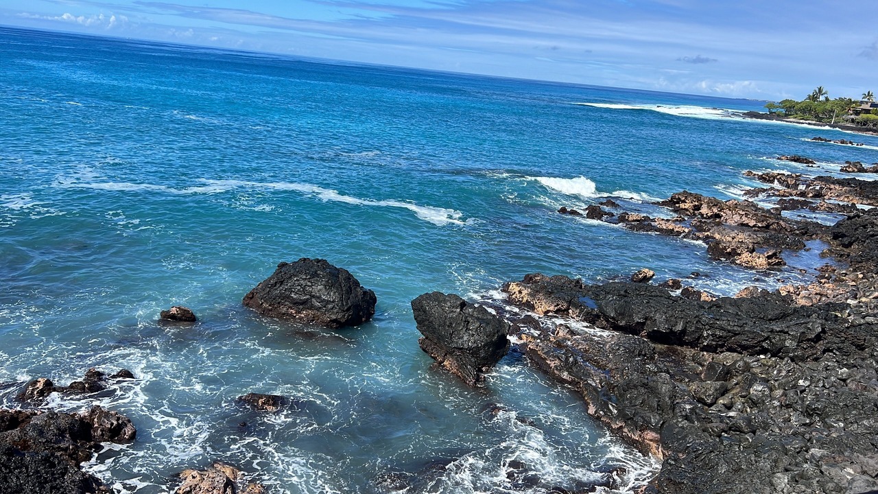 Photo of Others in Kahaluu Bay