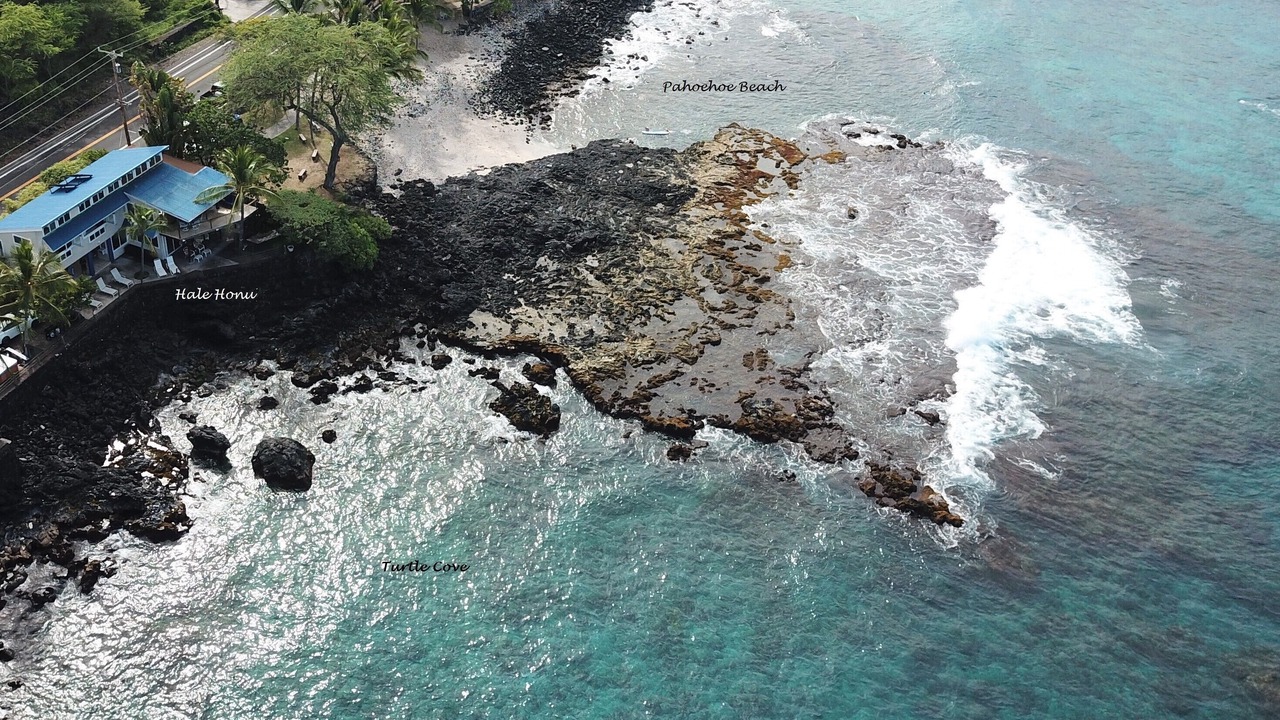 Photo of Others in Kahaluu Bay
