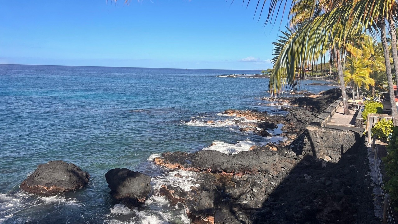 Photo of Others in Kahaluu Bay