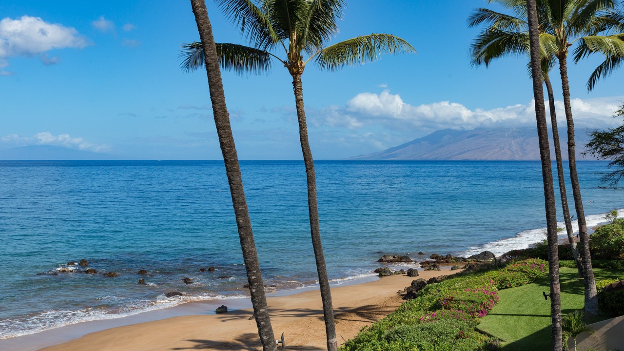 Photo of Others in Wailea