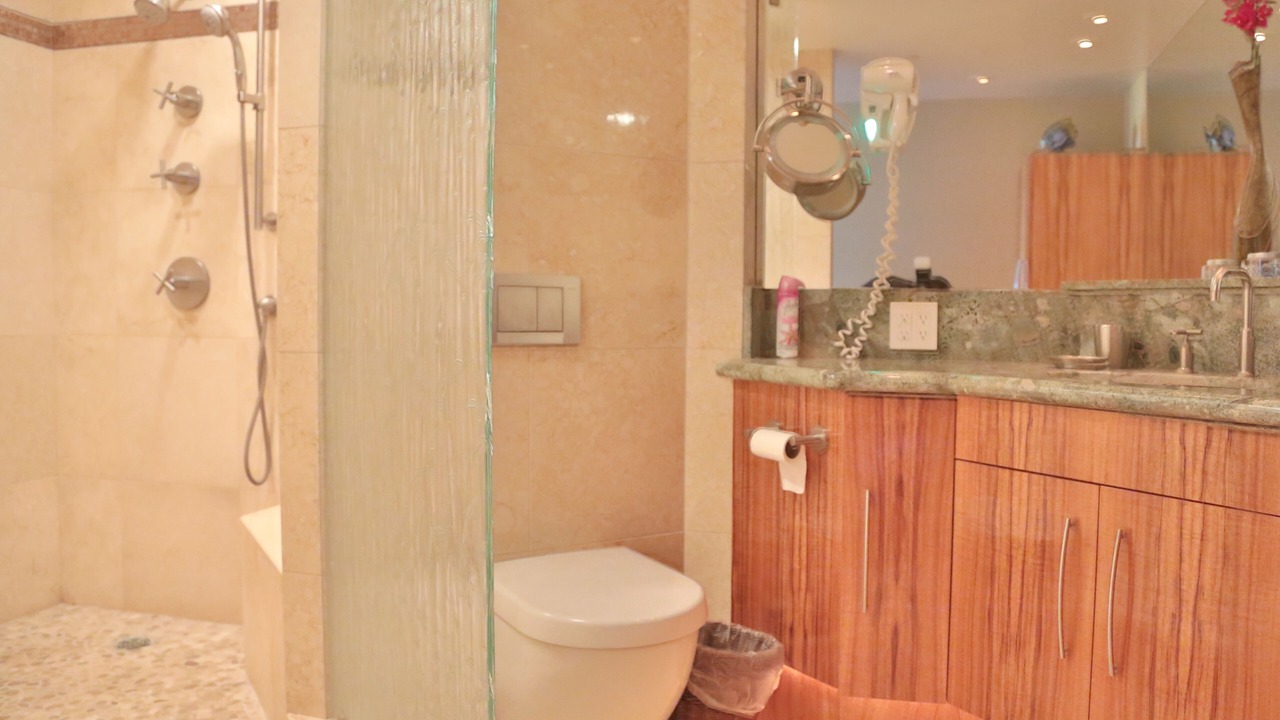 Photo of Bathroom in Kaanapali