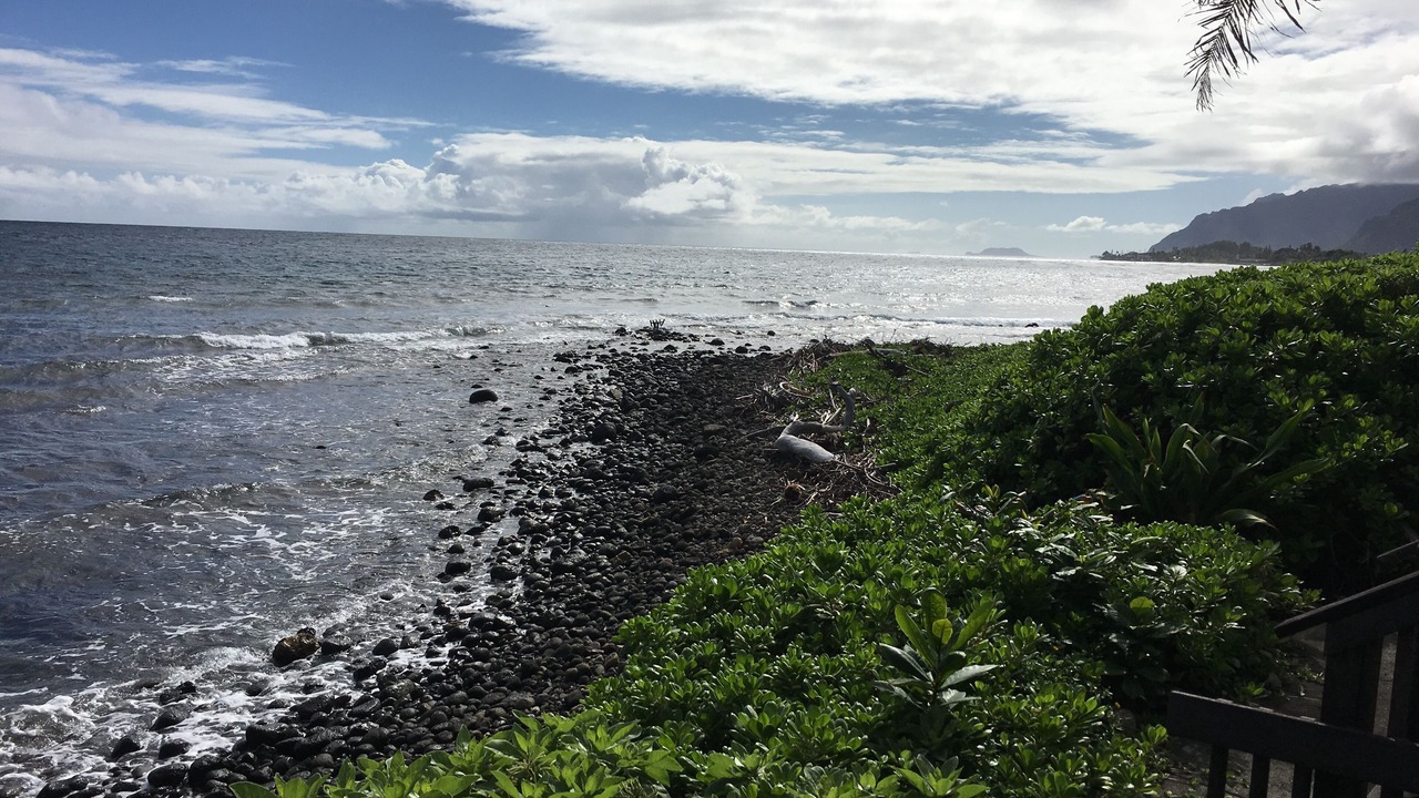 Photo of Others in Hauula