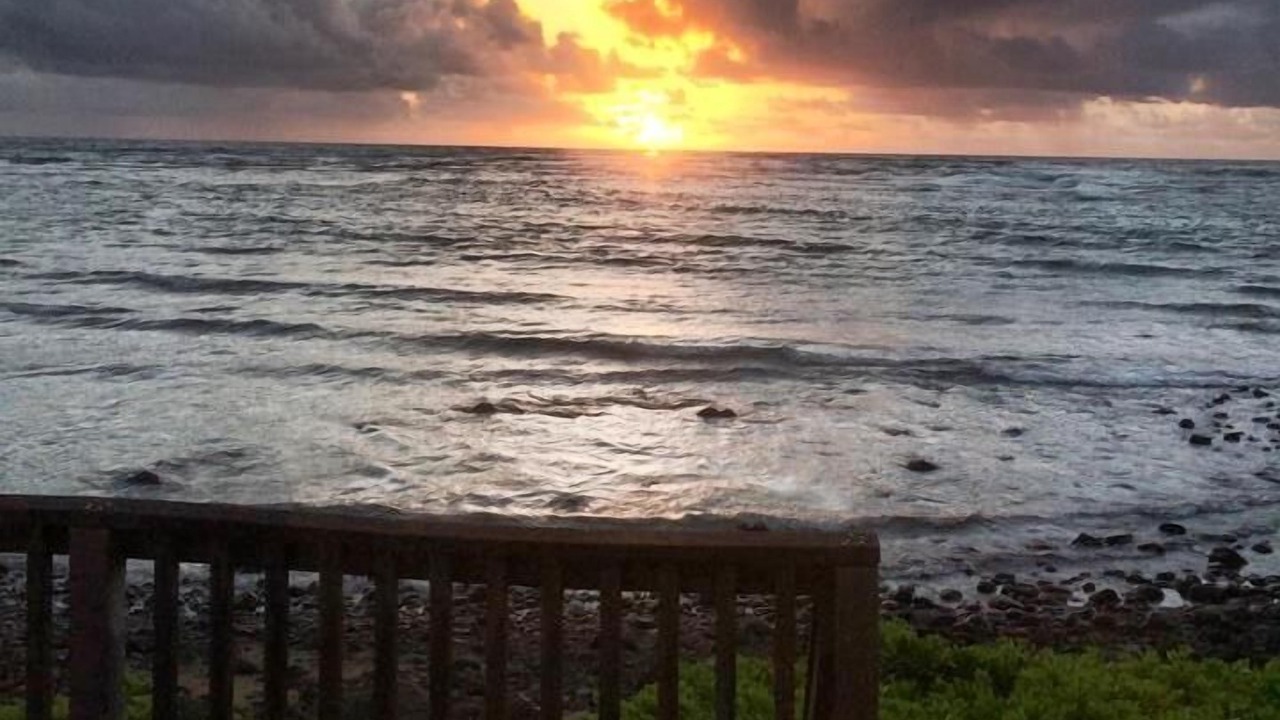 Photo of Others in Hauula