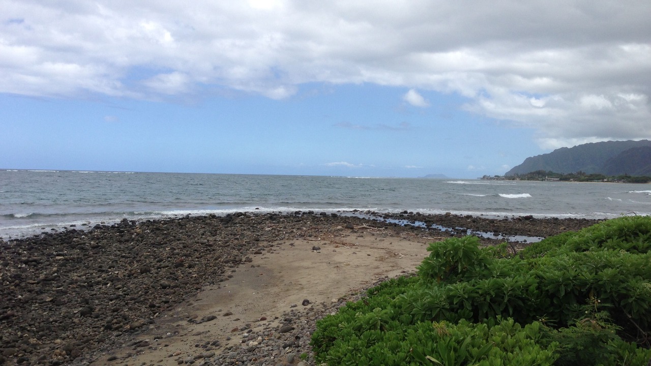 Photo of Others in Hauula