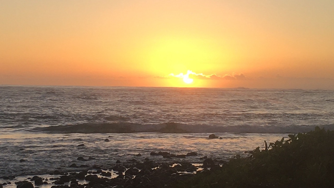 Photo of Others in Hauula