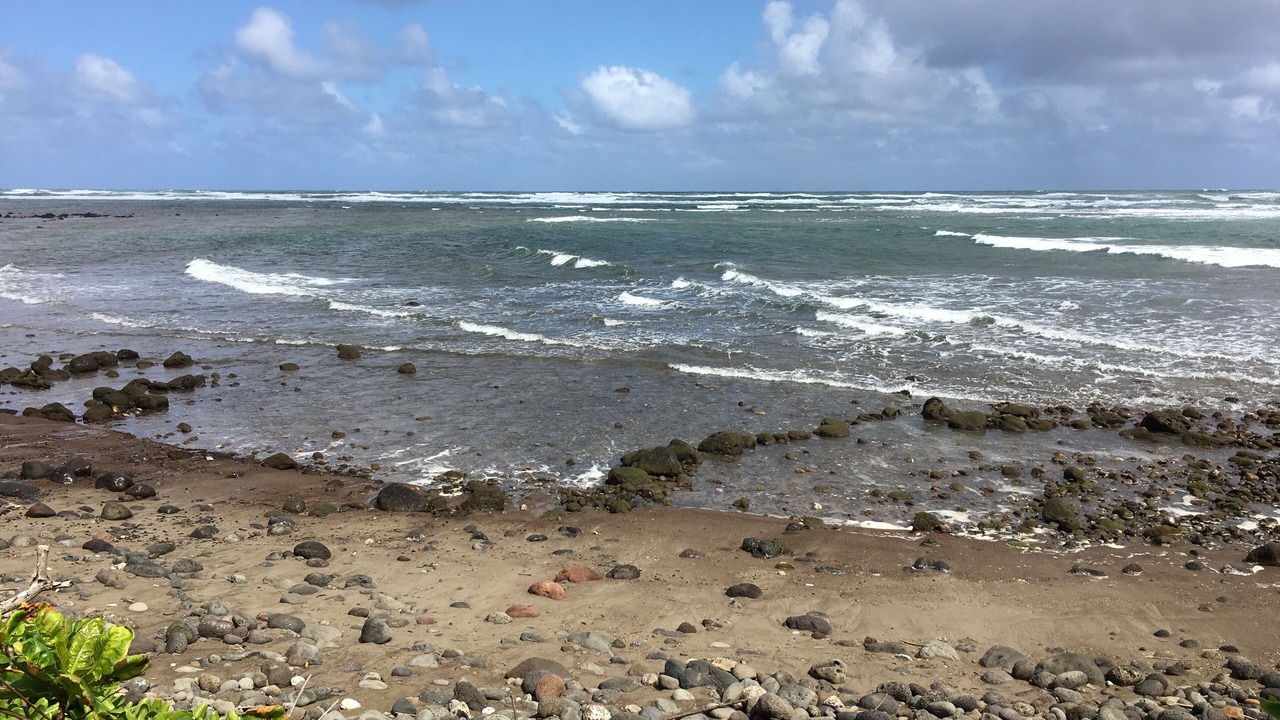 Photo of Others in Hauula