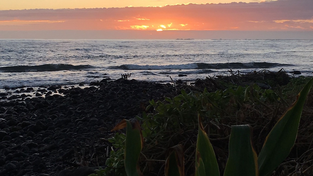 Photo of Others in Hauula