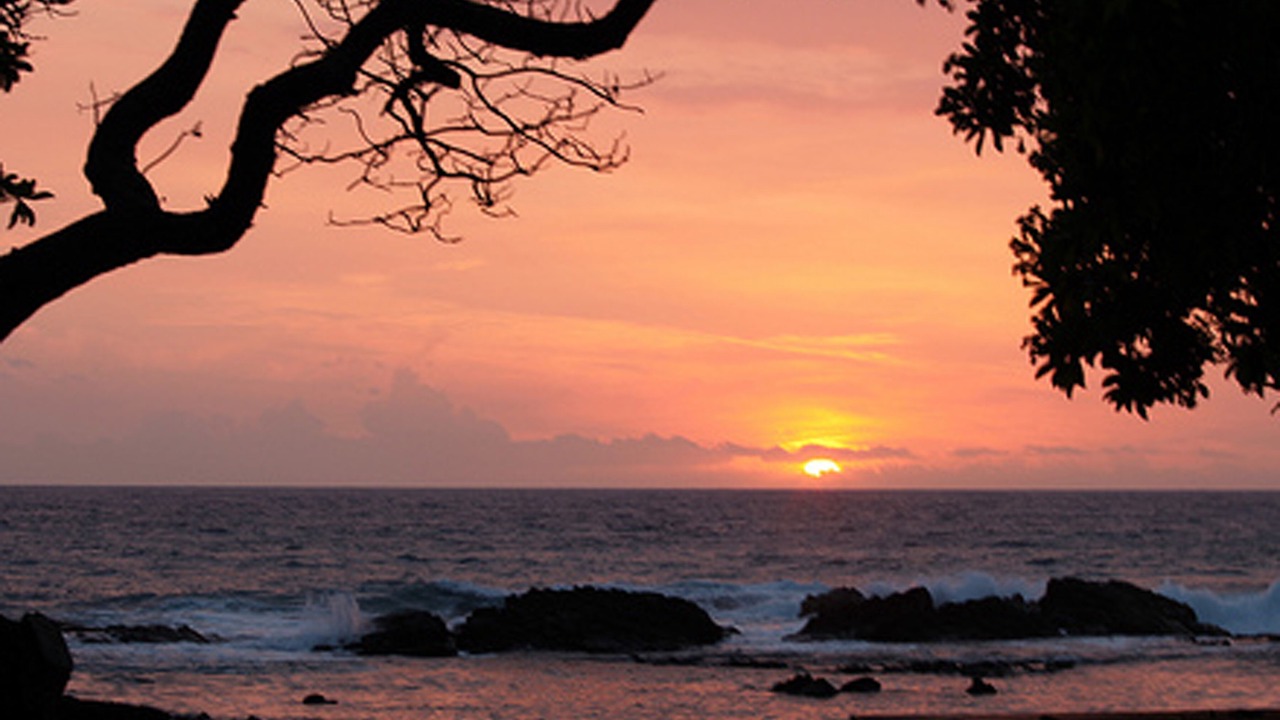 Photo of Others in Kailua-Kona