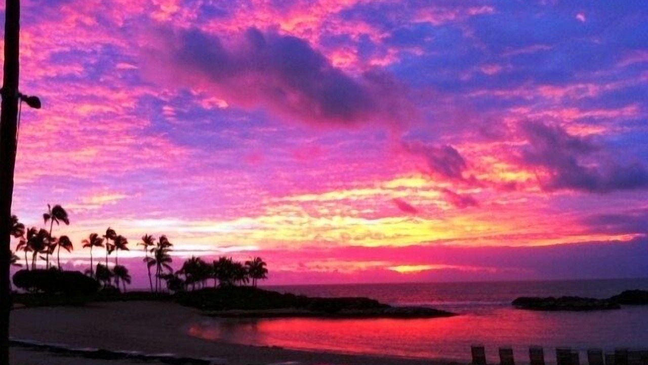 Photo of Others in Kapolei