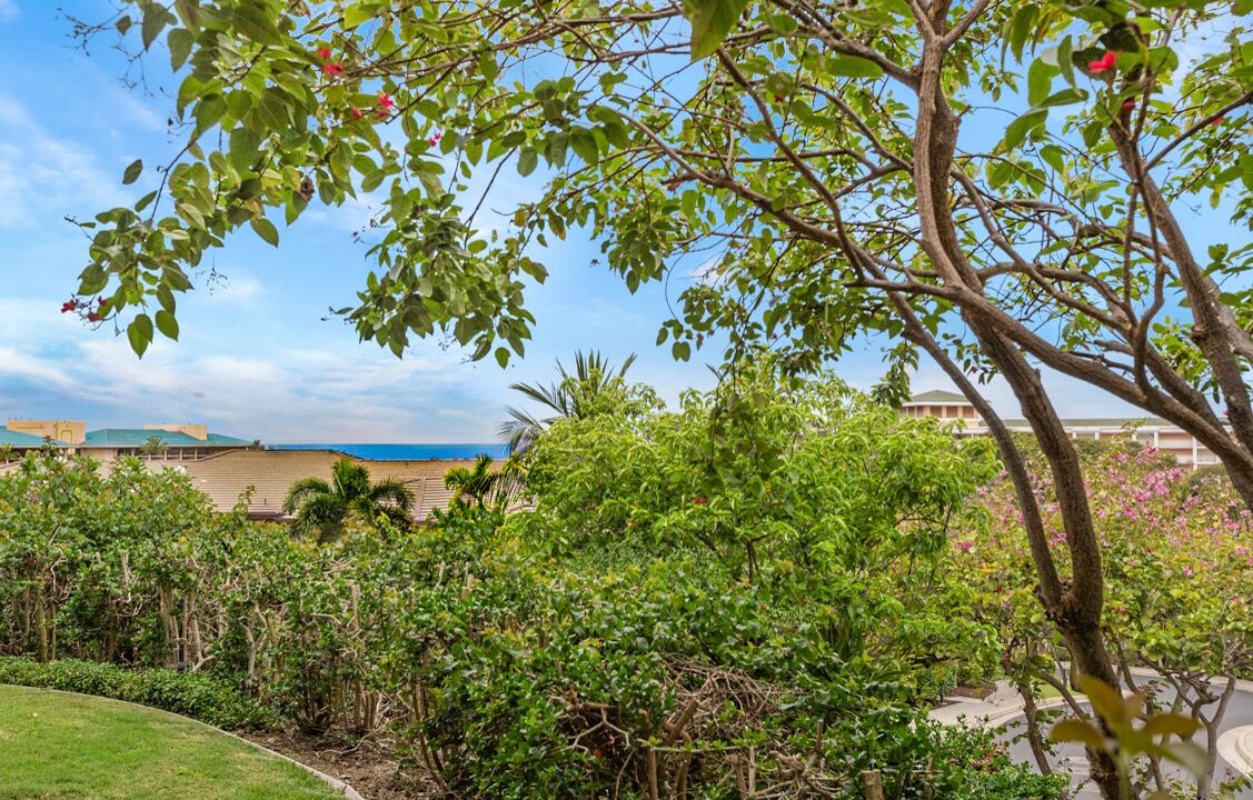 Photo of Outdoor in Wailea