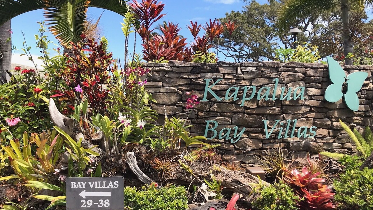 Photo of Others in Napili
