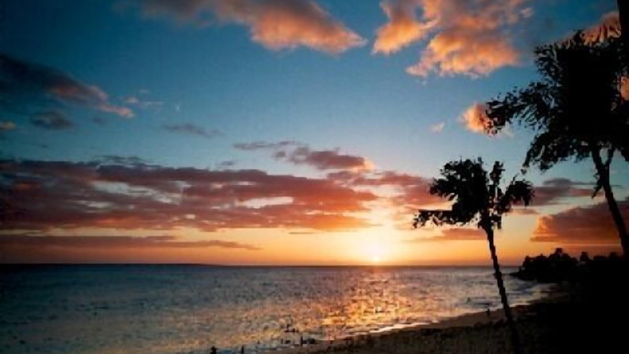 Photo of Others in Makaha Valley