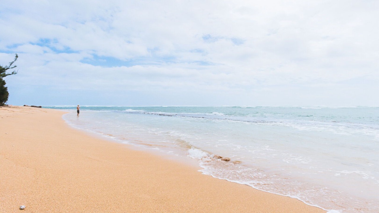 Photo of Others in Wailua