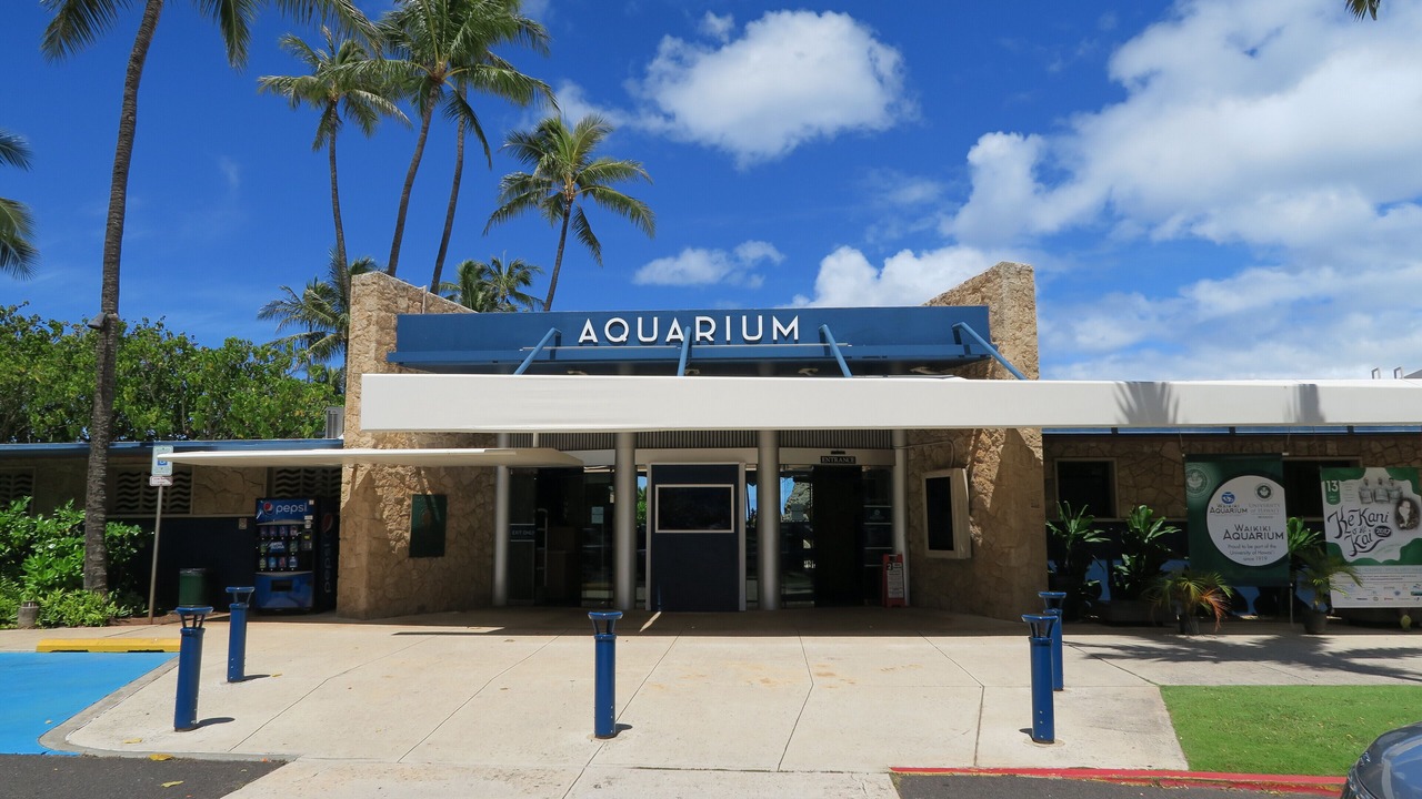 Photo of Outdoor in Waikiki