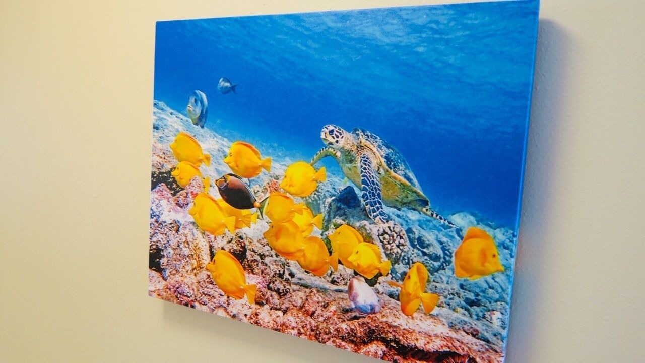 Photo of Others in Waikiki