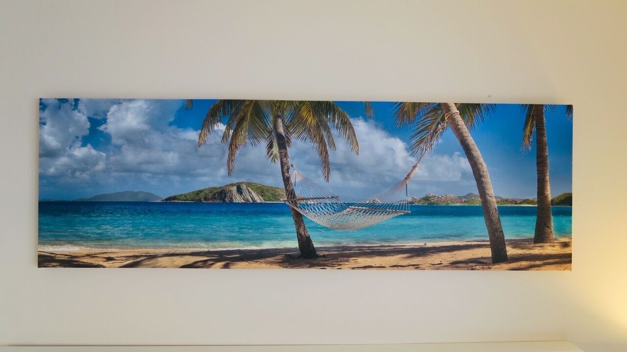 Photo of Others in Waikiki
