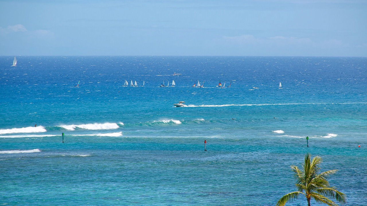 Photo of Others in Waikiki