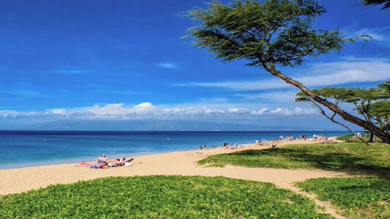 Photo of Others in Kaanapali