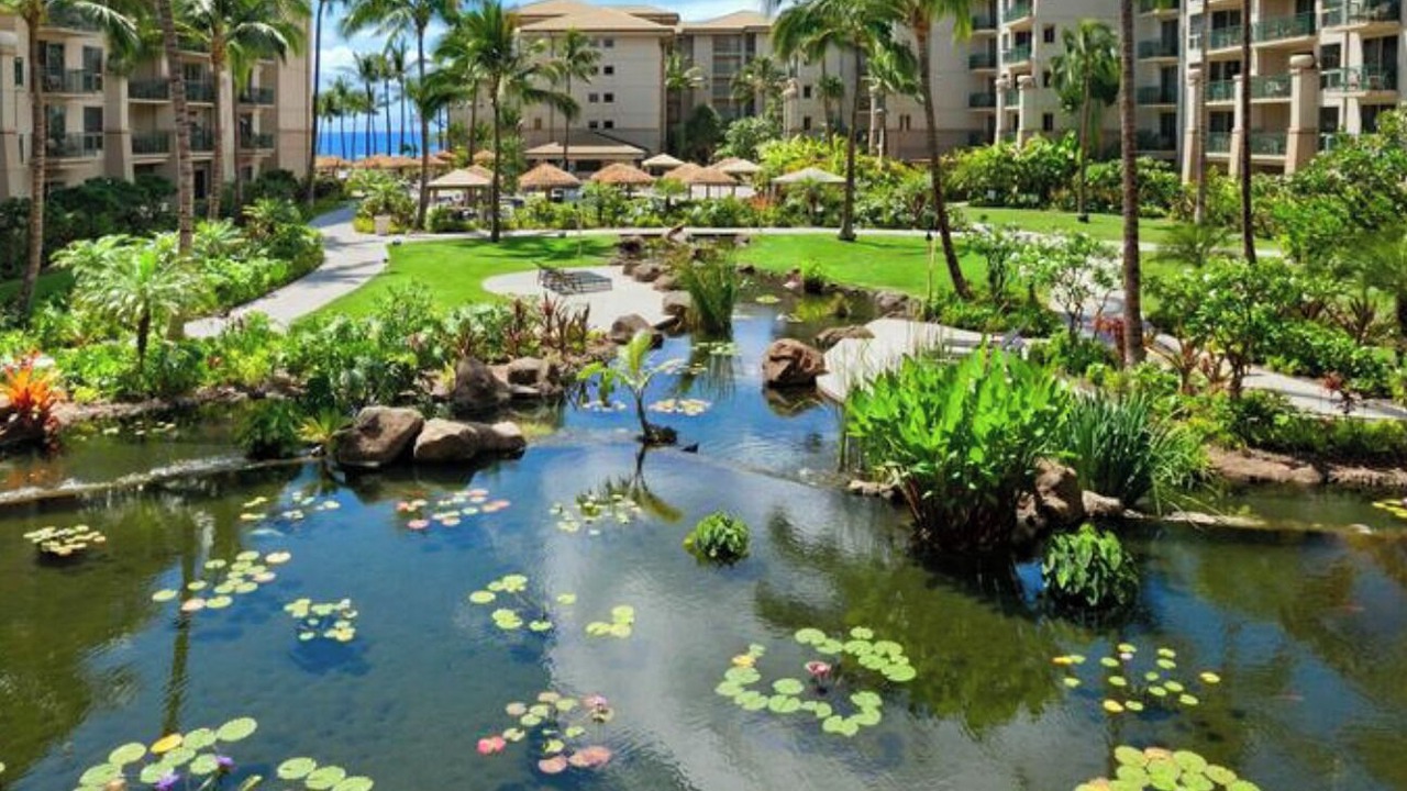 Photo of Others in Kaanapali