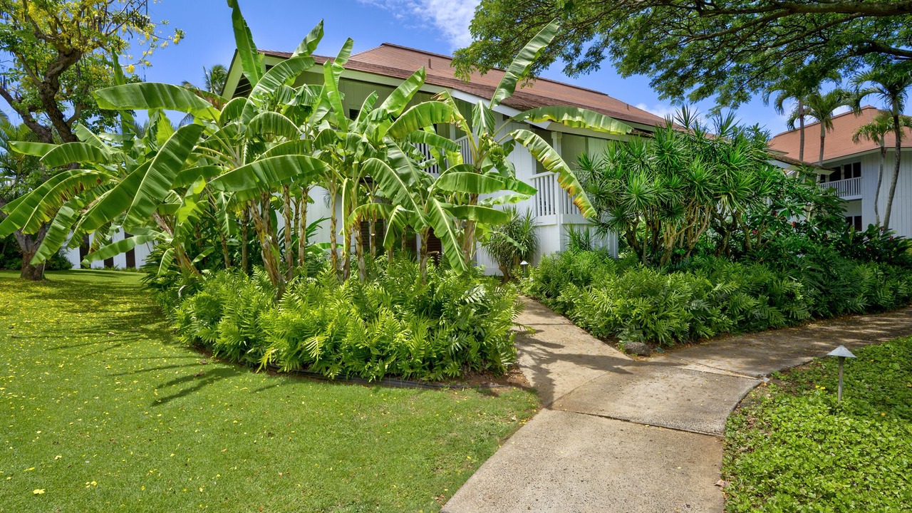 Photo of Outdoor in Poipu