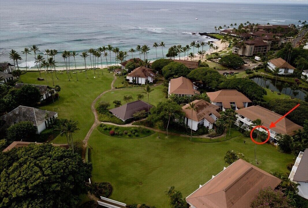 Photo of Outdoor in Poipu