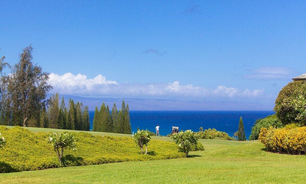 Photo of Others in Kapalua