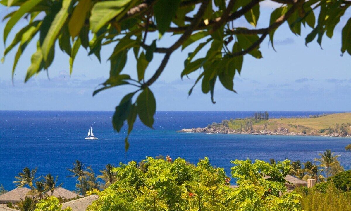 Photo of Others in Kapalua