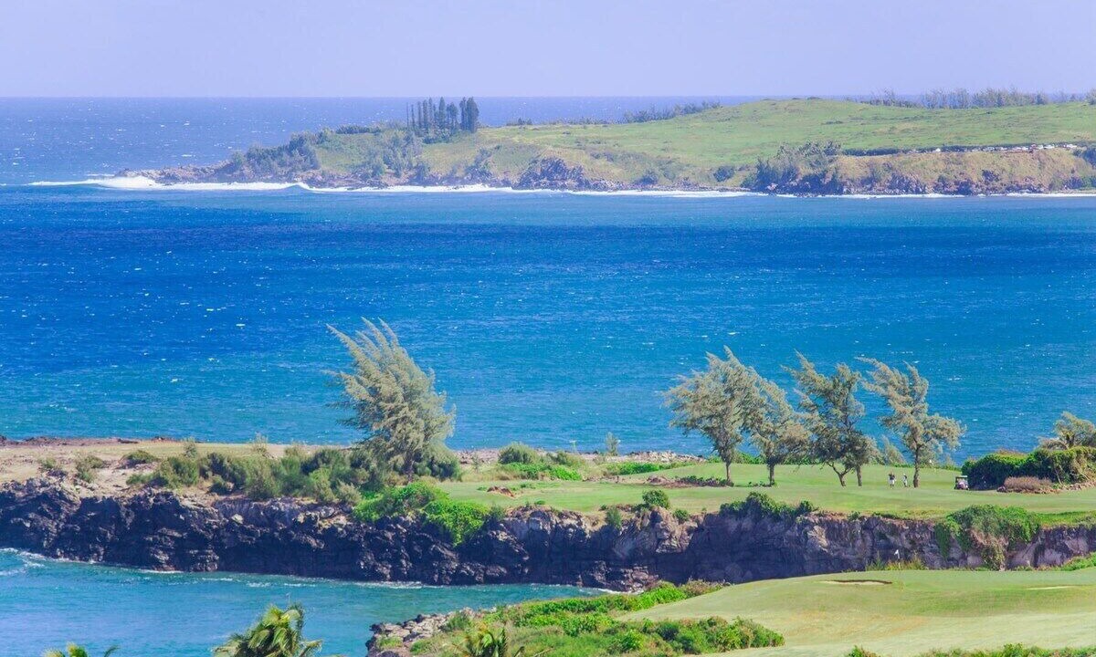 Photo of Others in Kapalua