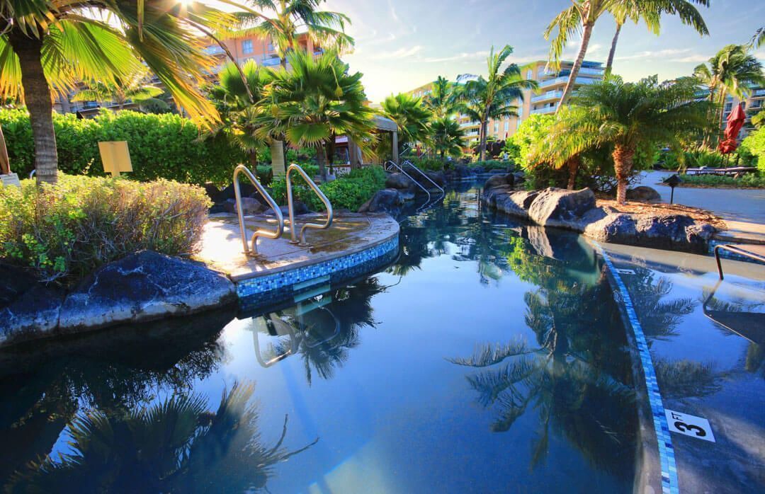 Photo of Others in Kaanapali