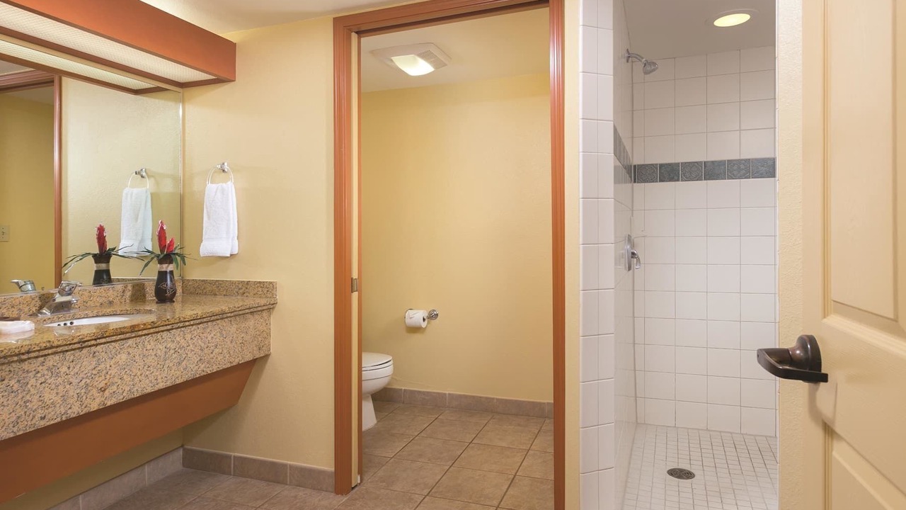 Photo of Bathroom in Wailua