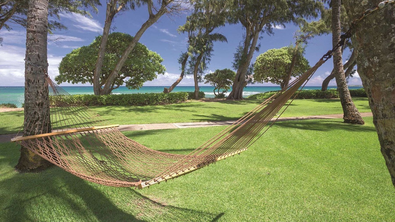Photo of Others in Wailua