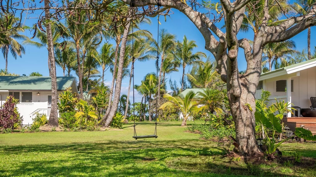 Photo of Others in Wainiha