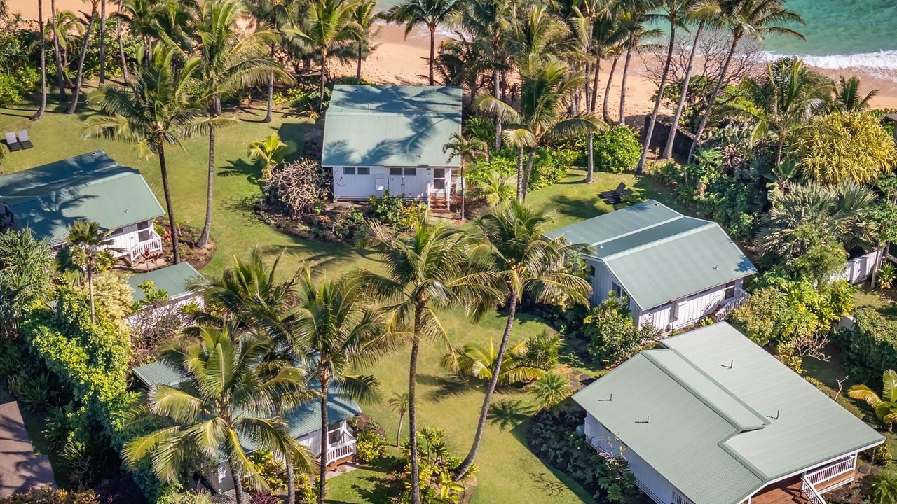 Photo of Others in Wainiha