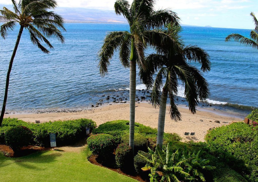 Photo of Others in Maalaea