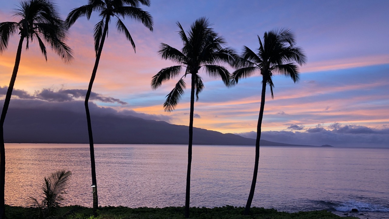 Photo of Others in Maalaea