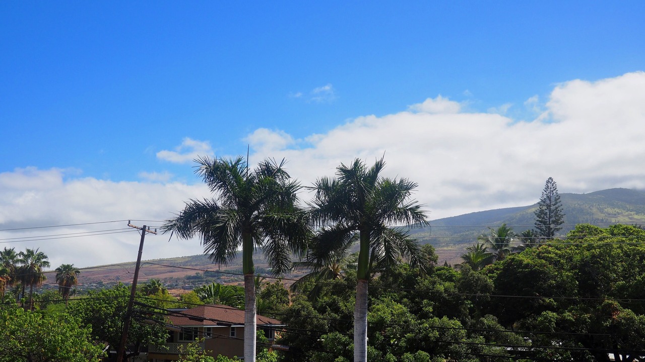 Photo of Outdoor in Historic Lahaina Front Street