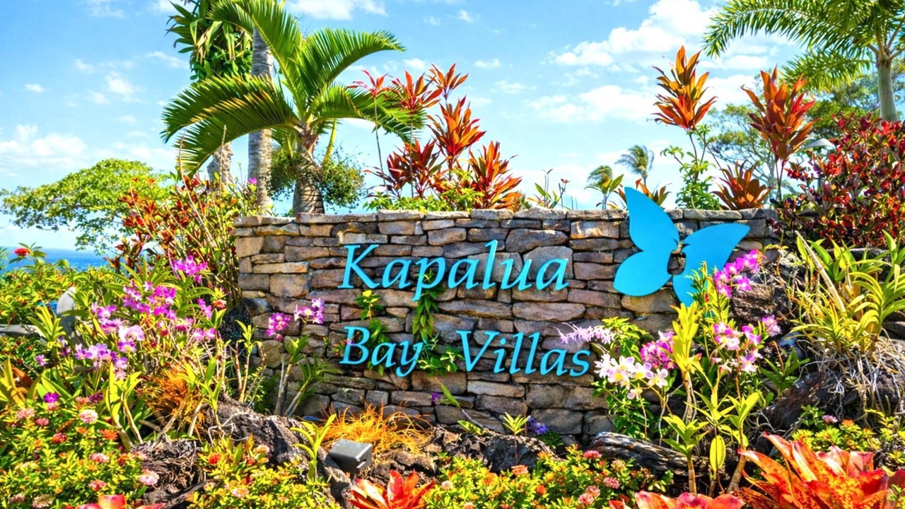 Photo of Others in Napili