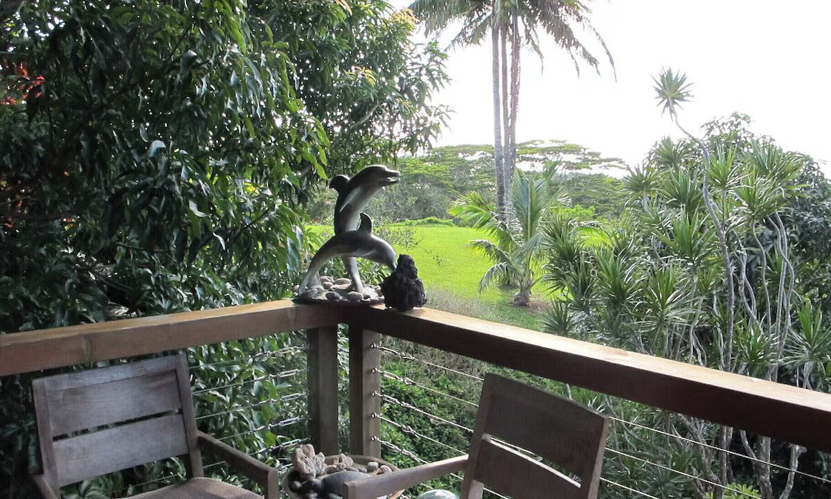 Photo of Outdoor in Pauwela