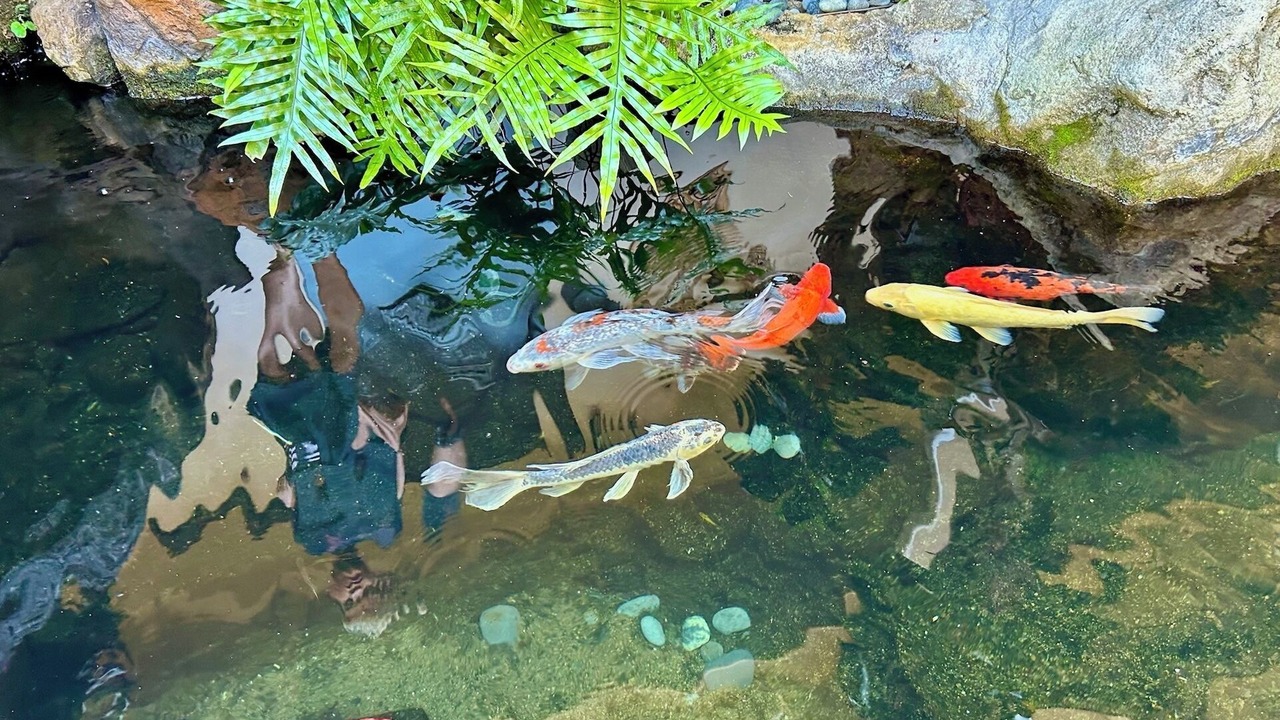 Photo of Others in Princeville