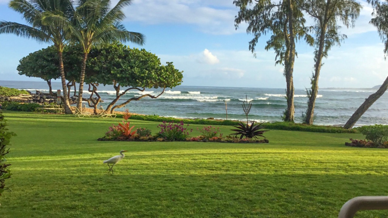 Photo of Others in Wailua