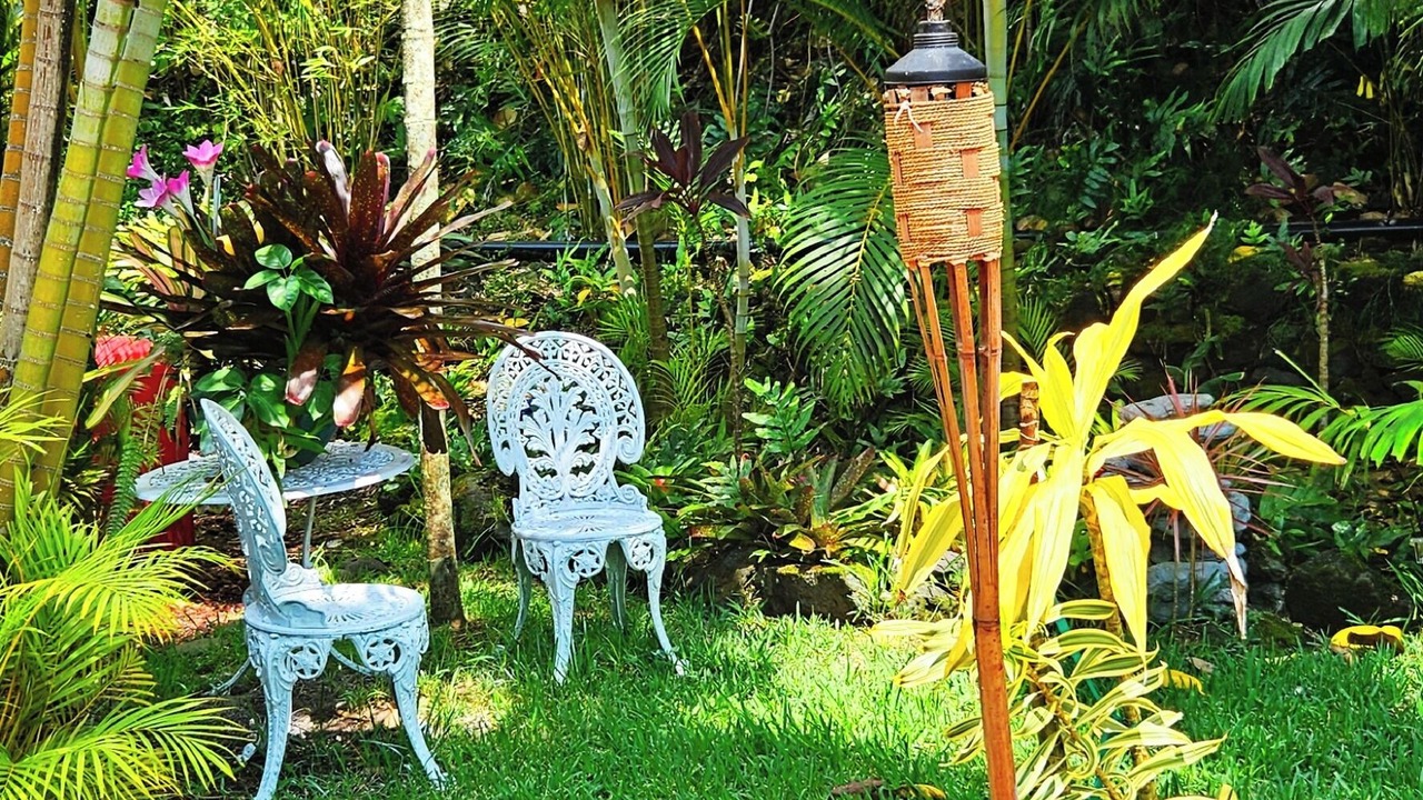 Photo of Outdoor in Kona Paradise